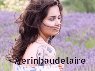 Aerinbaudelaire