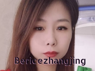 Bericezhangjing