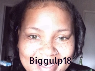 Biggulp18