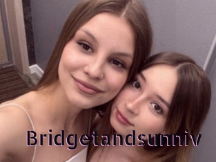 Bridgetandsunniv