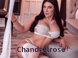 Chandrelrose