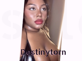 Destinytorn