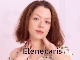 Elenecaris