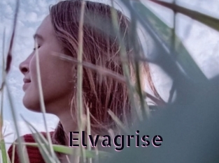 Elvagrise