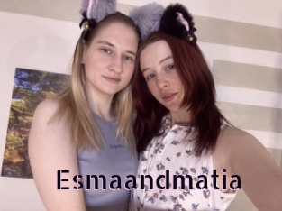 Esmaandmatia