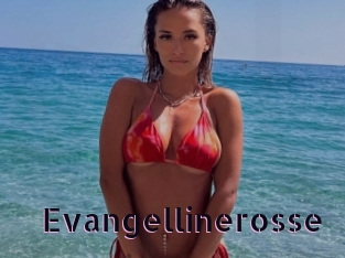 Evangellinerosse