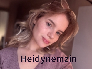 Heidynemzin