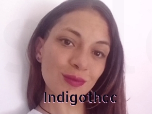 Indigothcc