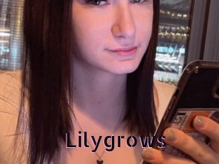 Lilygrows