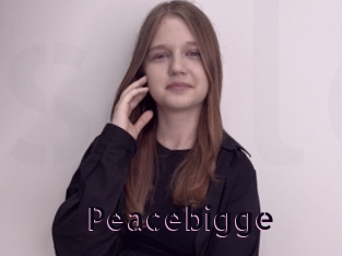 Peacebigge