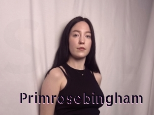 Primrosebingham
