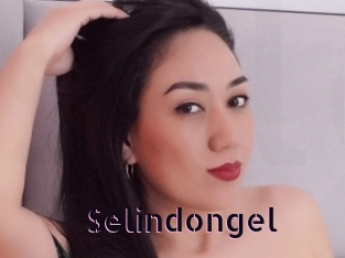 Selindongel