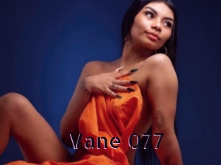 Vane_077